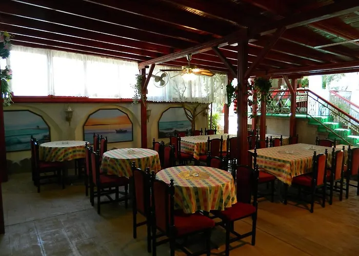 Отель Family Andreev